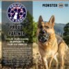 Monster K9 Indestructible Ring Ball - Lifetime Replacement - Medium & Large Breeds - Ultra Durable Dog Toy for Aggressive Chewers - Chew, Tug, & Fetch - 5.5" - Image 2