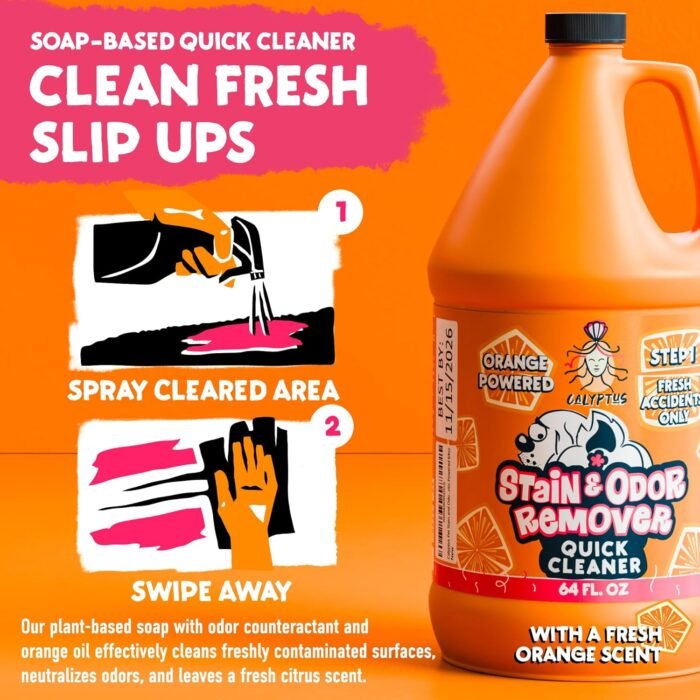Calyptus Pet Stain and Odor Remover | Orange and Enzyme Cleaner Duo Solution for Pets | 128oz (64oz x 2 Bottles) | Carpet Cleaner and Odor Eliminator for Cat Urine, Dog Pee, and Poop | Pro Strength