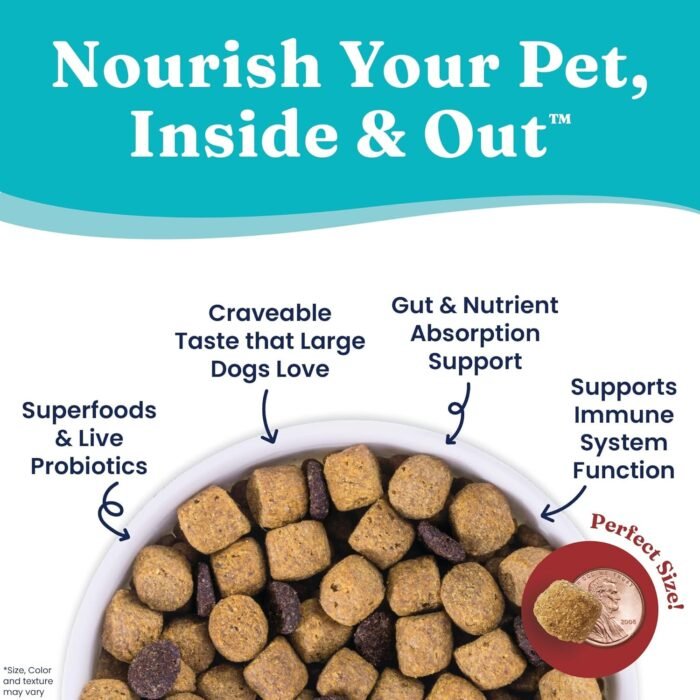 Solid Gold Large Breed Adult Dry Dog Food Whole Grain Kibble with Real Bison, Brown Rice, Sweet Potato and Omega 3 Fish Oil for Dogs, Probiotics - Nutrientboost - 22 LB