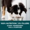 Purina ONE Plus Large Breed Puppy Food Dry Formula - 40 Lb. Bag. - Image 8