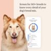Wisdom Health Panel Premium Dog DNA Kit: Most Comprehensive with 265+ Health Tests, Identify 365+ Dog Breeds, 50+ Traits, Relatives, Ancestry, Genetic Diversity - Pack of 2 - Image 3