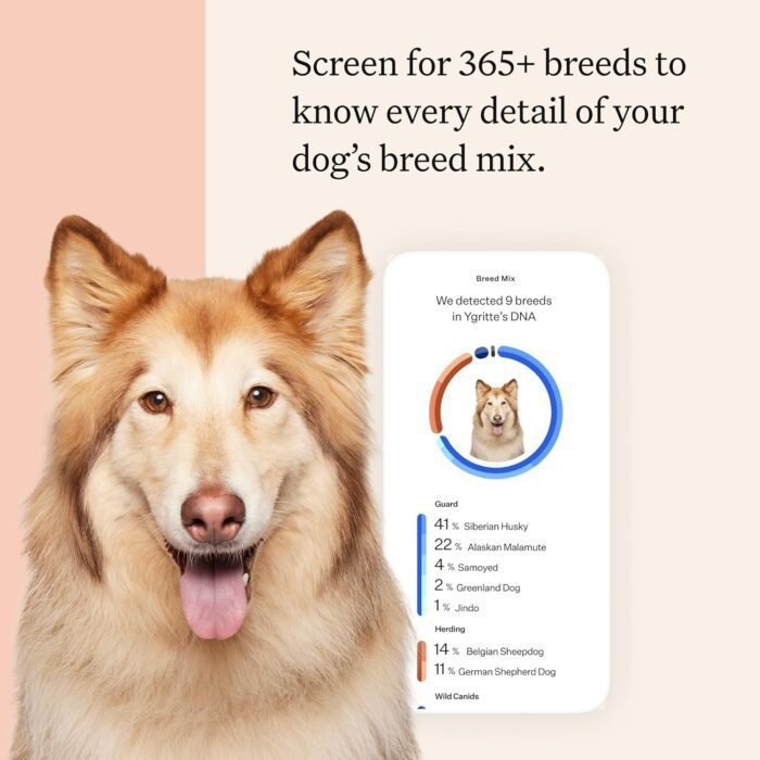 Wisdom Health Panel Premium Dog DNA Kit: Most Comprehensive with 265+ Health Tests, Identify 365+ Dog Breeds, 50+ Traits, Relatives, Ancestry, Genetic Diversity - Pack of 2