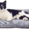 Furhaven ThermaNAP Self-Warming Cat Bed for Indoor Cats & Small Dogs, Washable & Reflects Body Heat - Quilted Faux Fur Reflective Bed Mat - Gray, Small