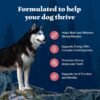 Blue Buffalo Wilderness Adult High-Protein Dry Dog Food Natural Salmon WITH WHOLESOME GRAINS - Image 4