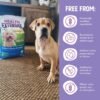 Health Extension Little Bites Chicken & Brown Rice Dry Dog Food (10 lb / 4.5 Kg) - Natural with Probiotics and Superfoods for Teacup, Toy & Small Breeds