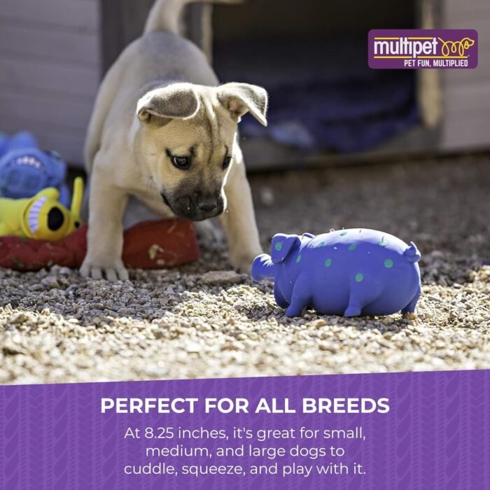Multipet's 9-Inch Latex Polka Dot Globlet Pig Dog Toy, Assorted Colors