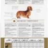 Royal Canin Dachshund Adult Breed Specific Dry Dog Food, 10 Lb bag