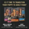 Purina Pro Plan High Protein Small Breed Puppy Food DHA Chicken & Rice Formula - 6 lb. Bag - Image 7