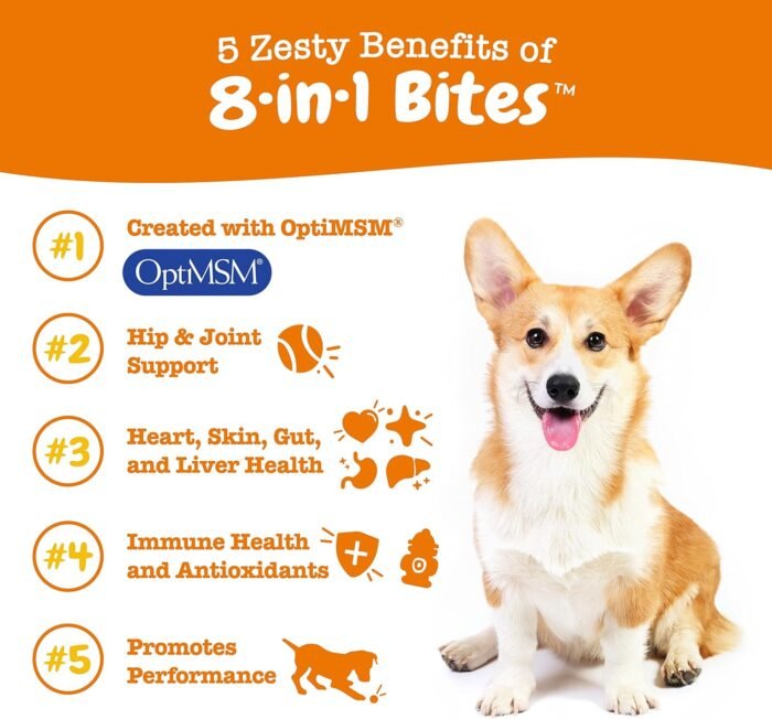 Zesty Paws Dog Multivitamin, Chewable Dog Vitamins and Supplements for Hip & Joints, Skin & Coat, Omega 3 Fish Oil for Dogs- Senior & Puppy Multivitamin - Peanut Butter- 90ct