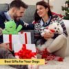 Dog Squeak Toys Durable Plush Dog Toy with Crinkle Paper, Tug of War Pull Toys for Puppies, Interactive Dog Chew Toys for Small, Medium and Large Dogs - Image 7