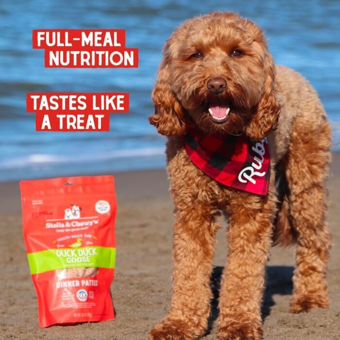 Stella & Chewy's Freeze Dried Raw Dinner Patties – Grain Free Dog Food, Protein Rich Duck Duck Goose Recipe – 25 oz Bag