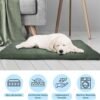 Water-Resistant Dog Bed - Orthopedic Dog Bed with Removable Washable Cover, Non-Slip Bottom, and Egg Crate Style Foam - 25.5in Small Pet Bed - Puppy Essentials by PETMAKER (Green) - Image 2