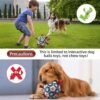 QDAN Dog Balls Toys, Soccer Ball with Straps, Puppy Birthday Gifts, Dog Water Toy, Durable Herding Balls for Small Medium Dogs, Interactive Toys for Tug of War (6 Inch) - Image 8