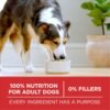 Purina ONE Chicken and Rice Formula Dry Dog Food - 16.5 lb. Bag - Image 6