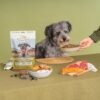 Superfood Complete, Adult Dog Food, Air-Dried, High Protein, Zero Fillers, Superfood Nutrition by Katherine Heigl (24 oz., Beef Formula) - Image 9