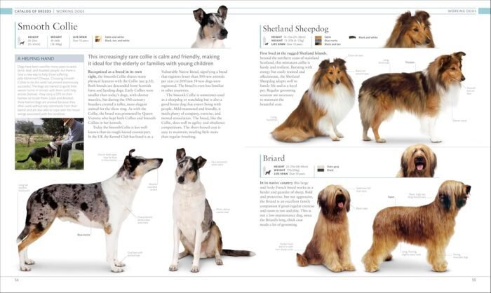 The Dog Encyclopedia (DK Pet Encyclopedias)
