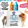 Calyptus Pet Stain and Odor Remover | Orange and Enzyme Cleaner Duo Solution for Pets | 128oz (64oz x 2 Bottles) | Carpet Cleaner and Odor Eliminator for Cat Urine, Dog Pee, and Poop | Pro Strength - Image 9