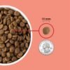 ACANA Grain Free Dry Dog Food, Red Meat Recipe, 25lb - Image 5
