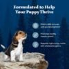 Blue Buffalo Wilderness High-Protein Natural Dry Food for Puppies, Chicken Recipe, 24-lb. Bag - Image 4