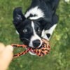 SHARLOVY Large Tough Chew Toys for Aggressive Chewers Large Breed,Heavy Duty Dental Rope Toys Kit for Medium Dogs,5 Knots Indestructible Cotton Puppy Teething Chew Tug Toy Set of 9 - Image 7