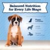 Blue Buffalo Baby BLUE Natural Small Breed Puppy Dry Dog Food, Healthy Growth Formula with DHA, Chicken and Oatmeal Recipe, 4-lb. Bag - Image 8