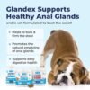 Vetnique Labs Glandex Anal Gland Soft Chew Treats with Pumpkin for Dogs Digestive Enzymes, Probiotics Fiber Supplement for Dogs Boot The Scoot (Peanut Butter Chews, 60 Count) - Image 4