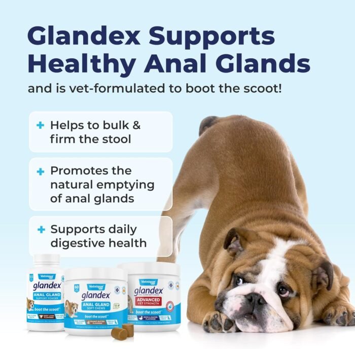 81Sr7QLMajL._AC_SL1500_.jpg Vetnique Labs Glandex Anal Gland Soft Chew Treats with Pumpkin for Dogs Digestive Enzymes, Probiotics Fiber Supplement for Dogs Boot The Scoot (Peanut Butter Chews, 60 Count)