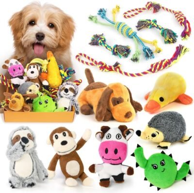 LEGEND SANDY Dog Squeaky Toys for Small Dogs, 12 Pack Puppy Toys for Teething, Cute Small Dog Animals Stuffed Plush Pet Toy Bundle, Natural Cotton Puppy Rope, Puppy Chew to Keep Them Busy