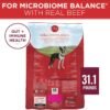 Purina ONE Small Bites Beef and Rice Formula Small High Protein Dry Dog Food Natural with Added Vitamins, Minerals and Nutrients - 31.1 lb. Bag - Image 6
