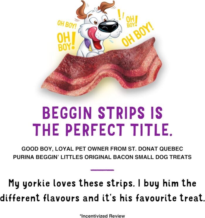 Purina Beggin' With Real Meat Dog Treats, Fun Size Original With Bacon Flavor - 25 oz. Pouch