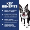 Hill's Science Diet Light , Adult 1-6, Weight Management Support, Small Kibble, Dry Dog Food, Chicken & Barley, 15 lb Bag