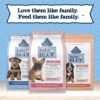 Blue Buffalo Baby BLUE Natural Small Breed Puppy Dry Dog Food, Healthy Growth Formula with DHA, Chicken and Oatmeal Recipe, 4-lb. Bag - Image 9