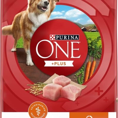 Purina ONE Plus Healthy Weight High-Protein Dog Food Dry Formula - 8 lb. Bag