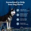 Blue Buffalo Wilderness Adult High-Protein Dry Dog Food Wholesome Grains Natural Ingredients - Image 4