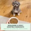 Open Farm, Ancient Grains Dry Dog Food for Small Breeds, Protein-Rich & Nutrient Dense, 90% Animal Protein with Non-GMO Fruits, Veggies and Superfoods, Chicken & Turkey Recipe for Small Dogs, 4lb Bag - Image 3