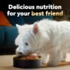 CESAR Small Breed Dry Dog Food Rotisserie Chicken Flavor and Spring Vegetables Garnish, 12 lb. Bag - Image 10