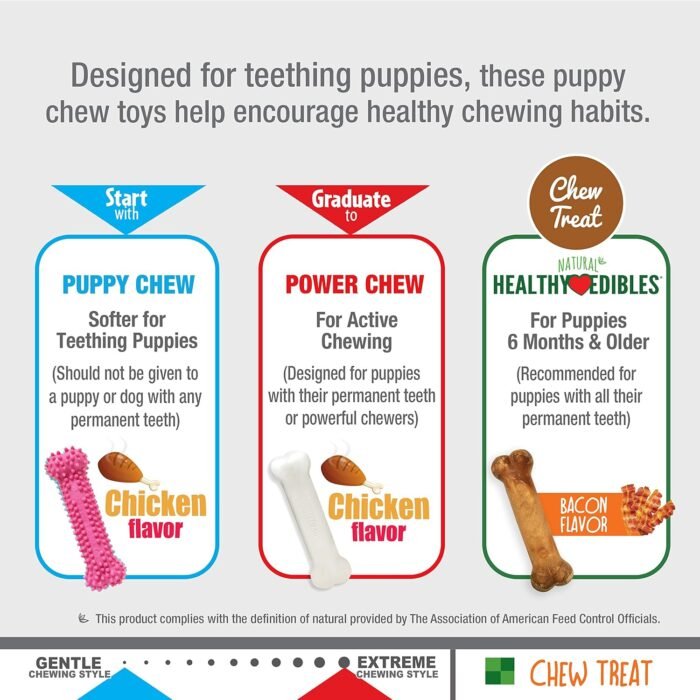 Nylabone Puppy Chew Toys & Natural Treat Triple Pack, Pink, Chicken & Bacon Flavor, Small - Up to 25 Ibs, 3 Pack
