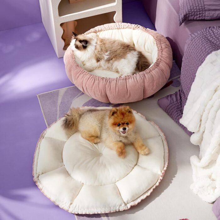 Lesure Dog beds for Small Dogs - Washable Cute Cat Beds with Versatile Dual-Use Design, Reversible Round Pet Bed for Puppy and Kitten, 25x25x8 Inches