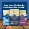 Blue Buffalo Life Protection Formula Senior Dry Dog Food, Supports Joint Health and Mobility, Made with Natural Ingredients, Chicken & Brown Rice Recipe, 15-lb. Bag - Image 9