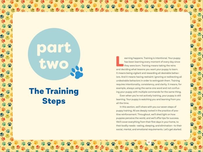 Puppy Training in 7 Easy Steps: Everything You Need to Know to Raise the Perfect Dog