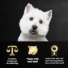 CESAR Filets in Gravy Adult Wet Dog Food, Filet Mignon Flavor, 3.5 oz. Easy Peel Trays, Pack of 24 - Image 6