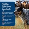 Blue Buffalo Blue's Stew Natural Wet Dog Food, Made with Natural Ingredients, Hearty Beef and Country Chicken Variety Pack, 12.5-oz. Cans, 6 Count - Image 6
