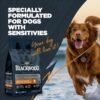 Blackwood Sensitive Skin & Stomach Dry Dog Food, Lamb Meal & Brown Rice with Ancient Grains, 24 Pound Bag with Prebiotics & Probiotics to Promote Gut Health - Image 8