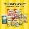 Temptations MixUps Catnip Fever Flavor Crunchy and Soft Cat Treats, 16 oz. Tub - Image 12
