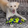 Outward Hound Durablez Tough Plush Squeaky Dog Toy, Gecko, Green, Large - Image 5