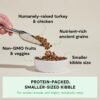 Open Farm, Ancient Grains Dry Dog Food for Small Breeds, Protein-Rich & Nutrient Dense, 90% Animal Protein with Non-GMO Fruits, Veggies and Superfoods, Chicken & Turkey Recipe for Small Dogs, 4lb Bag - Image 2