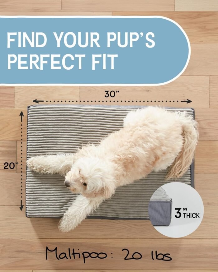 OhGeni 30 Inch Orthopedic Waterproof & Machine Washable Dog Bed for Small Medium Pets, 20D Egg Crate Foam Stable Support, Non-Slip Bottom and Removable Cover, Tear-Resistant Invisible Zipper(Gray)