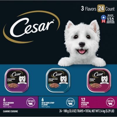 CESAR Adult Soft Wet Dog Food Filets in Gravy Variety Pack, Filet Mignon, New York Strip and Prime Rib Flavors, (24) 3.5 oz. Trays