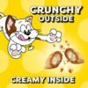Temptations MixUps Catnip Fever Flavor Crunchy and Soft Cat Treats, 16 oz. Tub - Image 5