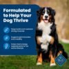 Blue Buffalo Life Protection Formula Adult Dry Dog Food, Helps Build and Maintain Strong Muscles, Made with Natural Ingredients, Chicken & Brown Rice Recipe, 5-lb. Bag - Image 4